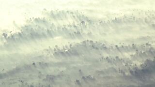 nice papua