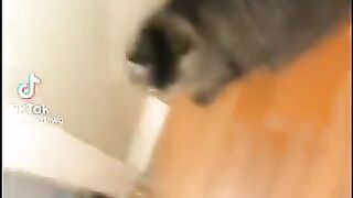 Random TikTok's That I Have Saved PT 1