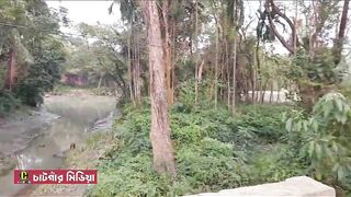 বালি উত্তোলনে নিষেধাজ্ঞা