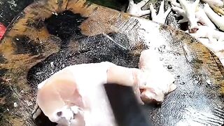 Chicken meat