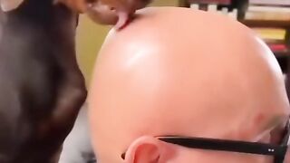 What is this