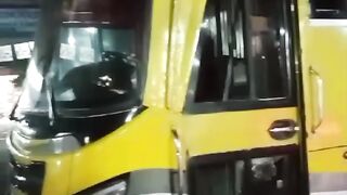 সড়ক দূর্ঘ’টনায় নি’হত