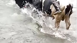 Cruzando el rio Napo