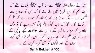 Sahih Bukhari # 100