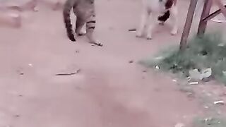Funny