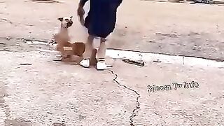 Greatest save ????