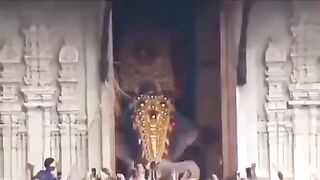 This is Thechikottukavu Ramachandran - India's tallest elephant
