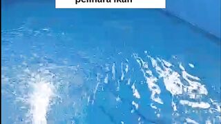 7 Sumber air yang bisa digunakan untuk budidaya ikan lele