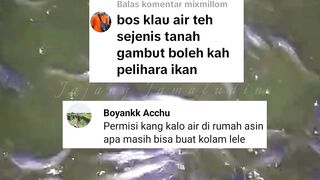 7 Sumber air yang bisa digunakan untuk budidaya ikan lele