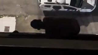 Man falls of a balcony trying to escape the police