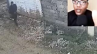 الكلب الحارس
