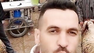 أكباش العيد