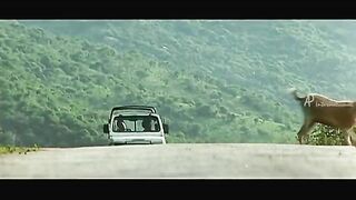Mustafa Mustafa Song  Kadhal Desam Movie Songs  AR Rahman  Vineeth  Abbas  Tamil Hit Songs 2017