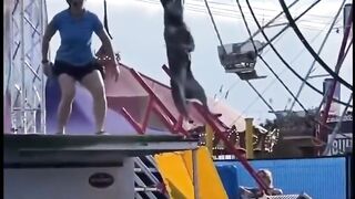 dog that couldn't be caught