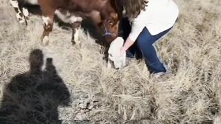 most viral funny shorts 2024||funny moments||youtube shorts||funny videos 2022||funny memes||funny pets