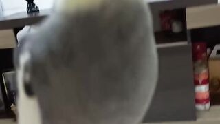 An_vAdQUW.