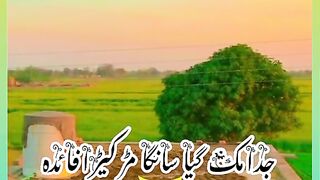 status,status video,status song,status whatsap,beast song,good song,video,songs