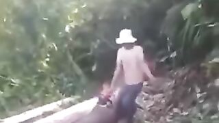 split logs