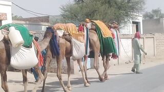 Karam Ya Farid Ya Farid - Baba Fareeduddin Ganjeshakar Qawwali - Master Mumtaz Ali Qawwal