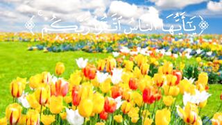 ان زلزلة الساعة شيء عظيم