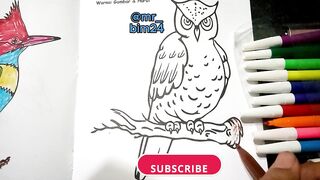 DRAWING OWL CUTE
