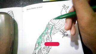 DRAWING BIRD PEACOCK BEAUTIFULL