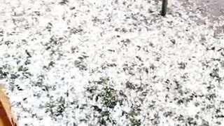 Hail storm in Pakistan