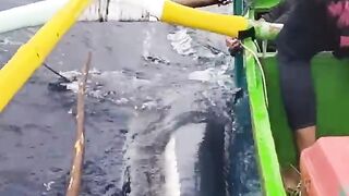 ayus ang unang laot gnaun 2024 mga master ang laki nang Blue Marlin mga master