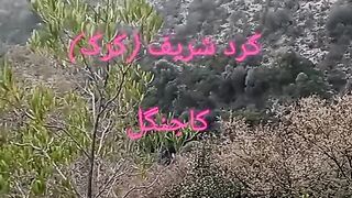 Beauty of KARAK/Tourism/northern Areas Pakistan/kpk/Forest/Kurd Shareef
