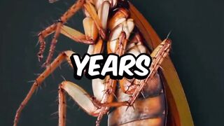Fascinating Facts About Prehistoric Creatures 2