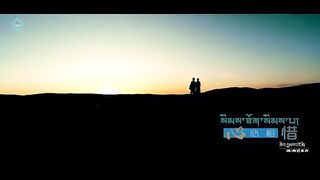New Tibetan Song 2019 by Pema Tso སེམས་ཐོག་སེམས་པ།