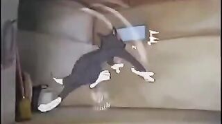 Tom & Jerry 18