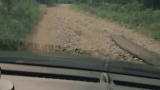 the road trip is very bad