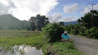 view of Indonesian farmers' sawa plantations