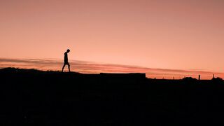"Joyride: Exploring Happiness in Travel"