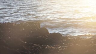 "Destination Happiness: Exploring Joyful Journeys"