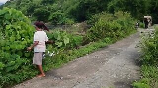 farmers' activities in the afternoon