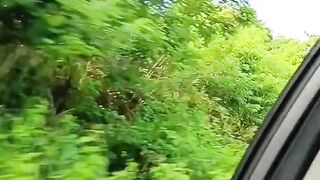 journey through forest valleys