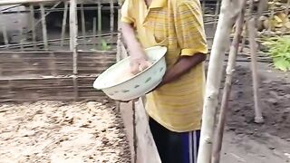my father and my stepmother are sowing rice seeds