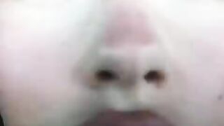 madzimai emily video madzimai emily Tiktok