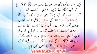 Sahih Bukhari # 105