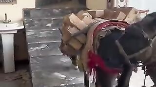To hard work