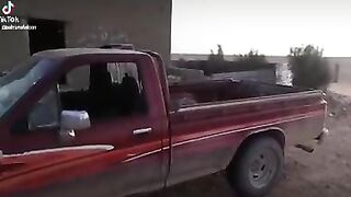 مقناص مدينة تدمر 3