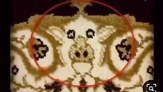 video 14