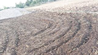 The process of pressing the seed into the ground
