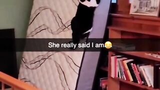 Part 22 | Funny cat videos | Talking Cats #funnycats #funnyanimals #funnypets