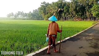 BANJARNEGARA