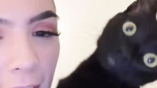 Part 40 | Black cats! Funny cat videos #funnycats #funnyanimals #funnypets