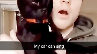 Part 37 | Singing Cats! Funny cat videos #funnycats #funnyanimals #funnypets