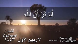 تلاوة عطرة بصوت رائع هاديء